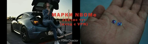 прущие грибы Баксан