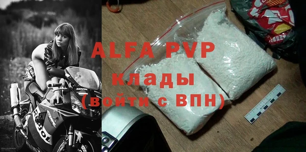 прущие грибы Баксан