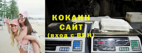 прущие грибы Баксан