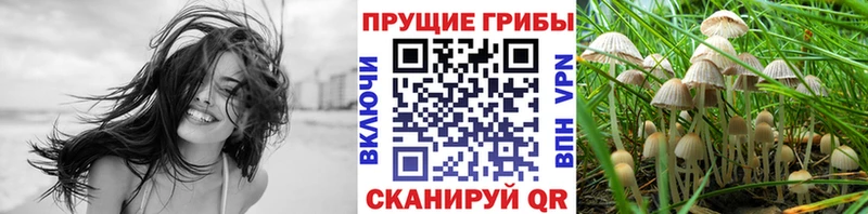 Псилоцибиновые грибы Psilocybine cubensis  Купить  Арск 